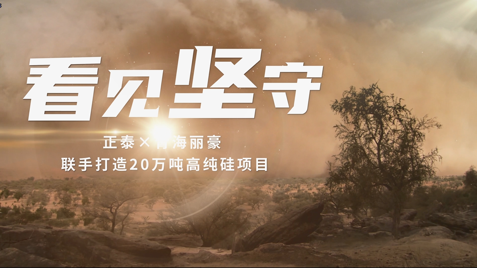 打造产业高地，燃绿电&ldquo;引擎&rdquo;&mdash;&mdash;正泰电气助力青海丽豪追&ldquo;光&rdquo;逐&ldquo;绿&rdquo;，领跑行业新赛道
